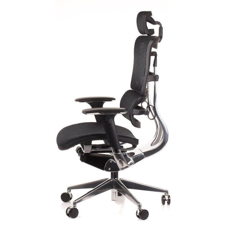 Ergohuman legpro online chair